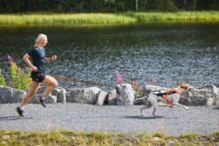 Non-Stop Dogwear Zughundegeschirr Freemotion Harness 5.0 Orange -Hundebedarf 978360 Product