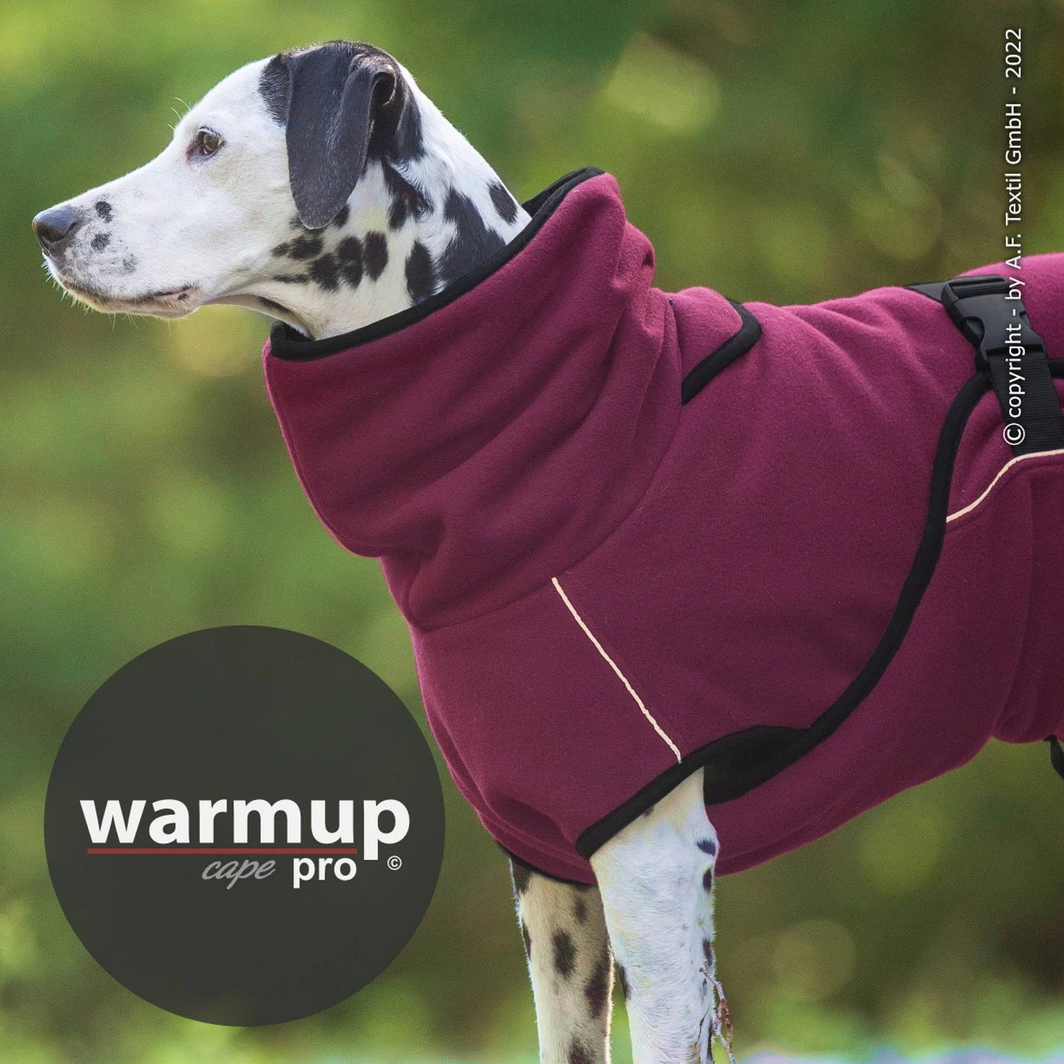 Warmup Cape Pro Hundemantel & Bademantel Bordeaux 2 Warmup Cape Pro Hundemantel & Bademantel Bordeaux – Bild 2