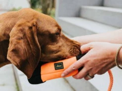 Hunter Trainer Snack Dummy Mit Seil -Hundebedarf 995696 Product