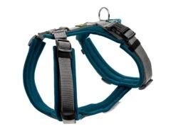 Hunter Hundegeschirr Maldon Petrol/grau