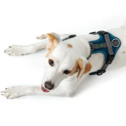 Hunter Hundegeschirr Maldon Petrol/grau 8 Hunter Hundegeschirr Maldon Petrol/grau -Hundebedarf maldonpetrol04